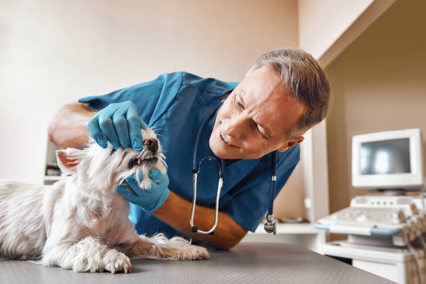 Best Pediatric Emergency Dentist in Fort Myers, FL